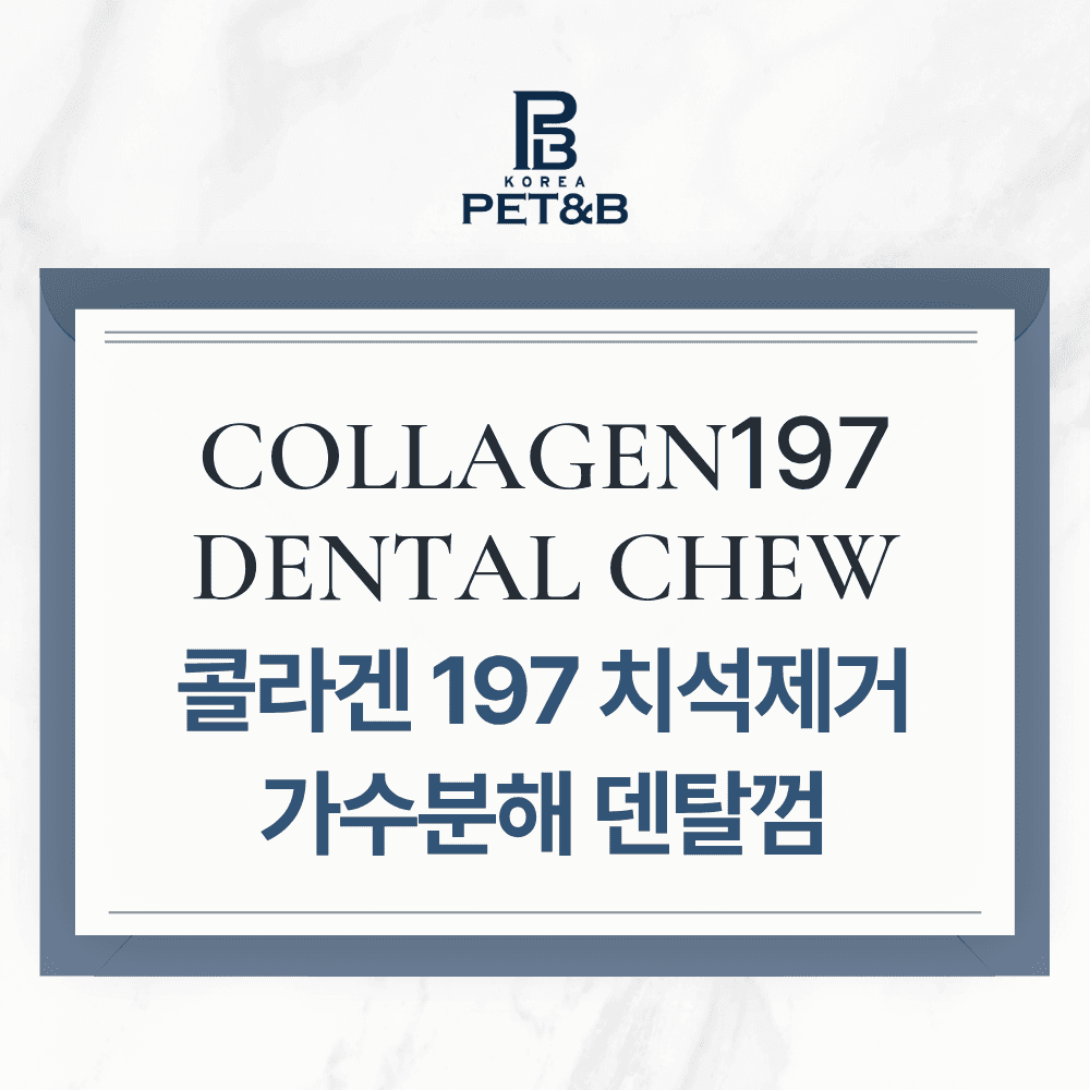 콜라겐 197 가수분해껌